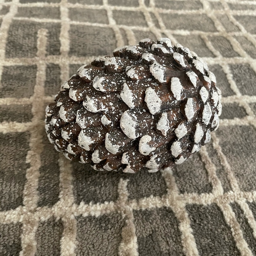 Brand New Snowy Pinecone